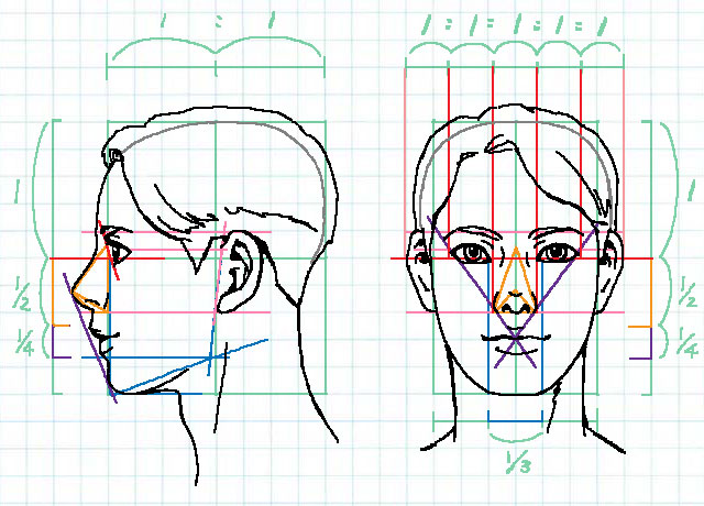 イラストでバランスのいい顔を描くには比率を知るのが近道