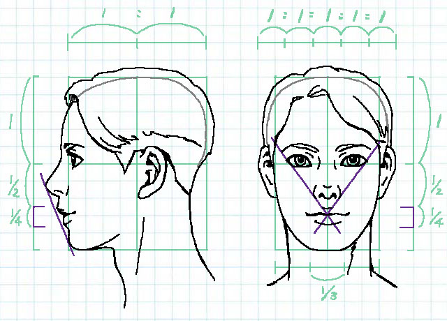 イラストでバランスのいい顔を描くには比率を知るのが近道