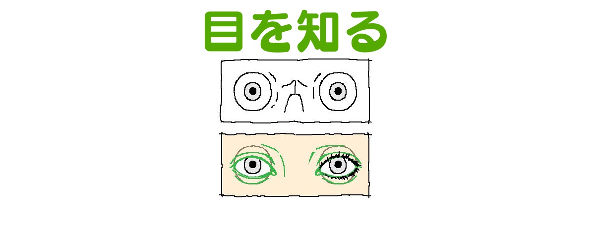 目の斜め向きの描き方も 順に分解していくとわかりやすい