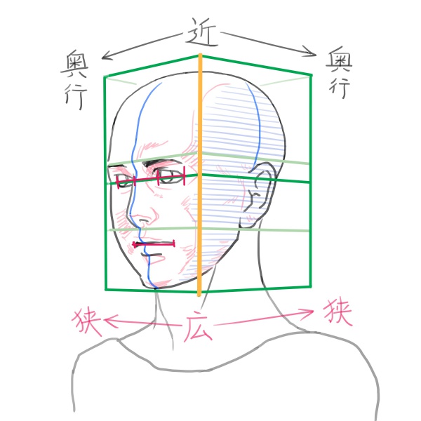 斜め横顔のイラストを描くときは 全体のバランスを見よう