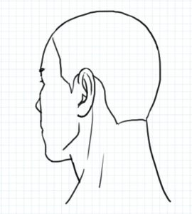 斜め後ろ向きの図2～完成例2