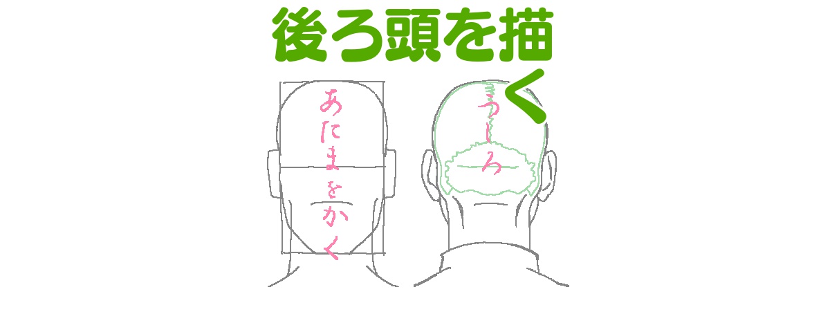 後ろ頭をそれらしく描くために把握しておきたいことと描き方 ラインスタンプ工房 イラスト上達のコツ一枚絵描き方研究室