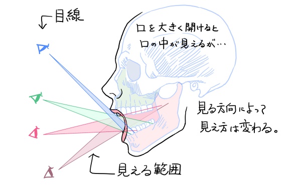 口の中の見え方