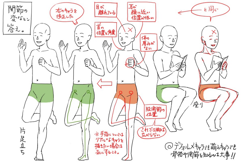 骨格の比較、答え