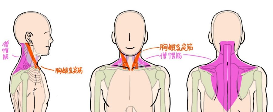 首回り