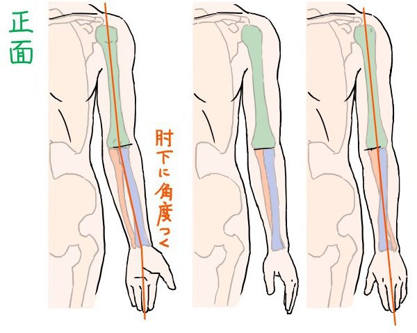 腕の構造からイラストが描きやすくなる手の向きと肘の見え方