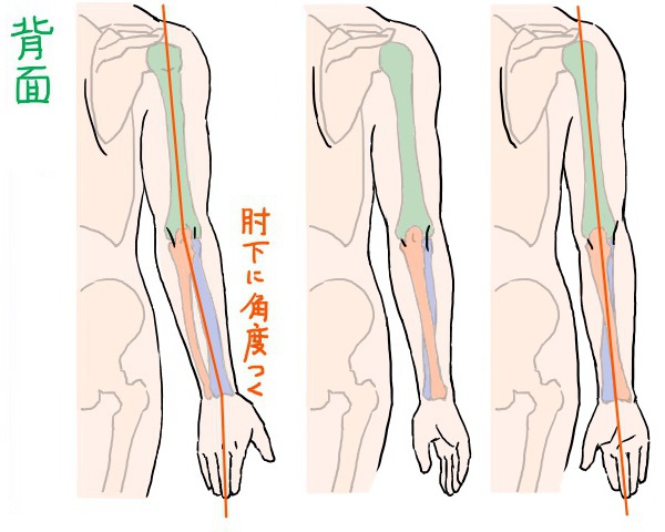 腕の構造からイラストが描きやすくなる手の向きと肘の見え方