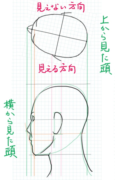 斜め後ろから見る顔の描き方は ちょっとしたコツで簡単に