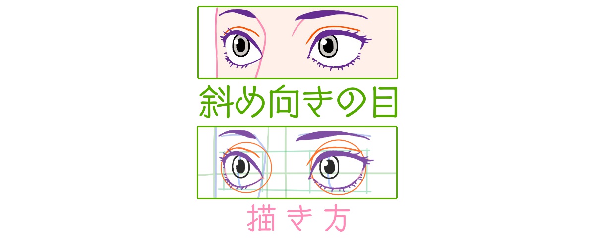 目の斜め向きの描き方も 順に分解していくとわかりやすい