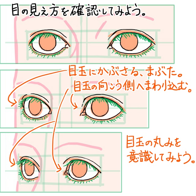 目の斜め向きの描き方も 順に分解していくとわかりやすい