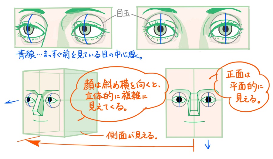 目の斜め向きの描き方も 順に分解していくとわかりやすい