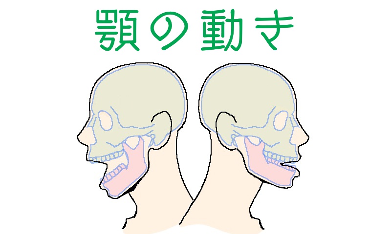 顎の動き、表題