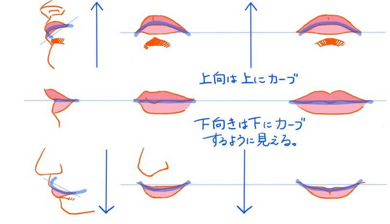 唇の形や大きさはいろいろ 口のイラストを描くなら再確認