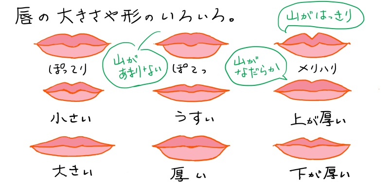 唇の形や大きさはいろいろ 口のイラストを描くなら再確認