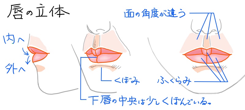 唇の形や大きさはいろいろ 口のイラストを描くなら再確認