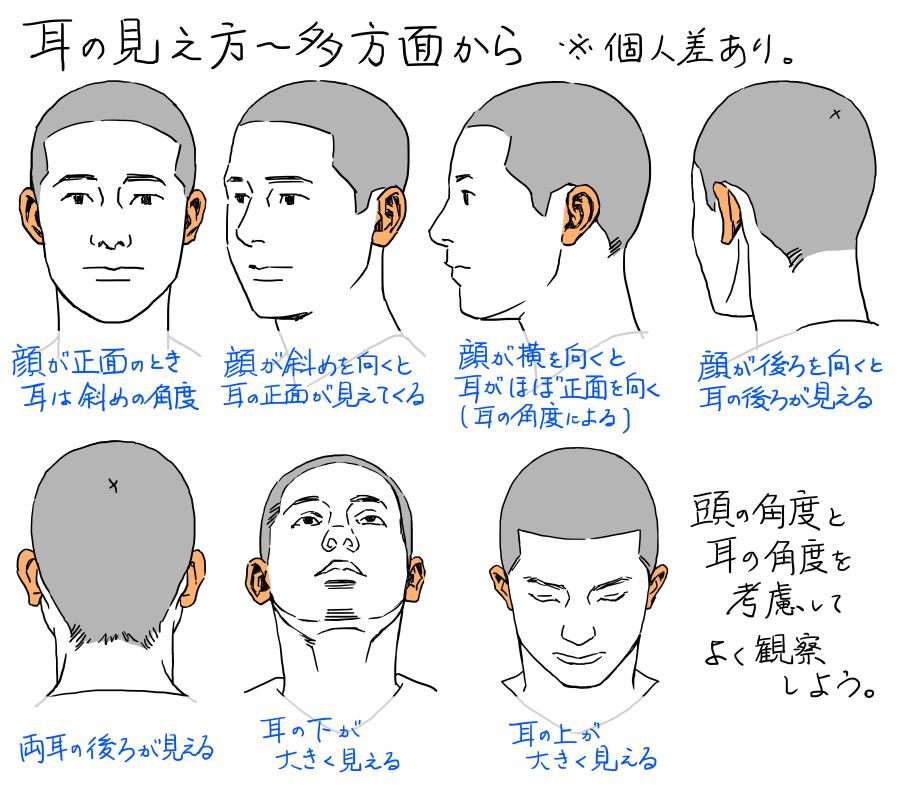 耳の位置を意識すると 人物イラストに存在感を引き出させる